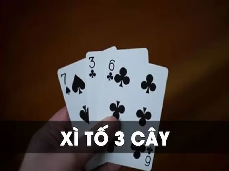 Xì tố 3 cây là gì?